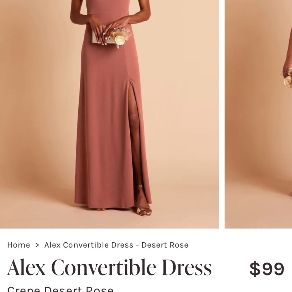 Birdy Grey Alex Convertible Dress in Desert Rose size small